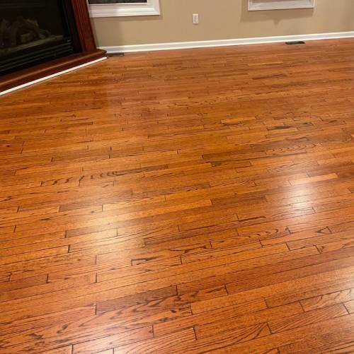 Carpet Cleaning St. Louis MO White Hat Floor Care